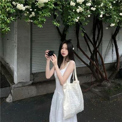 第七大陆